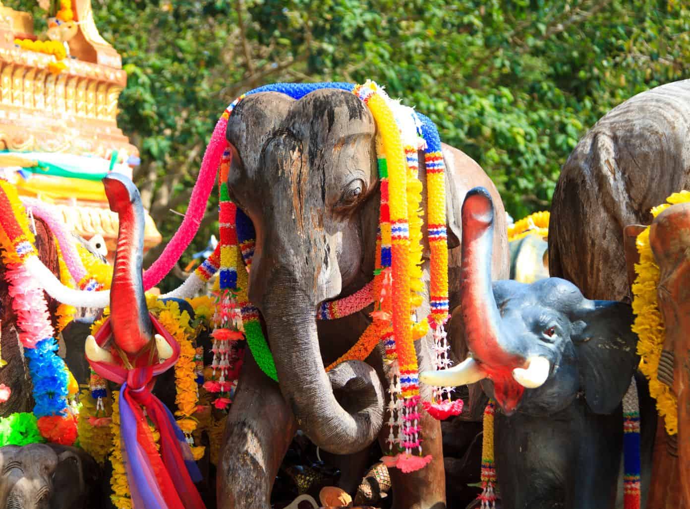 Elephants in Phuket