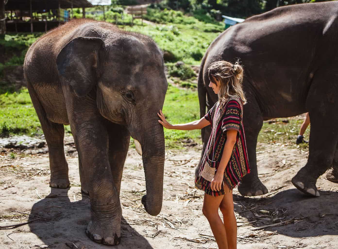 Samui Elephant Sanctuary