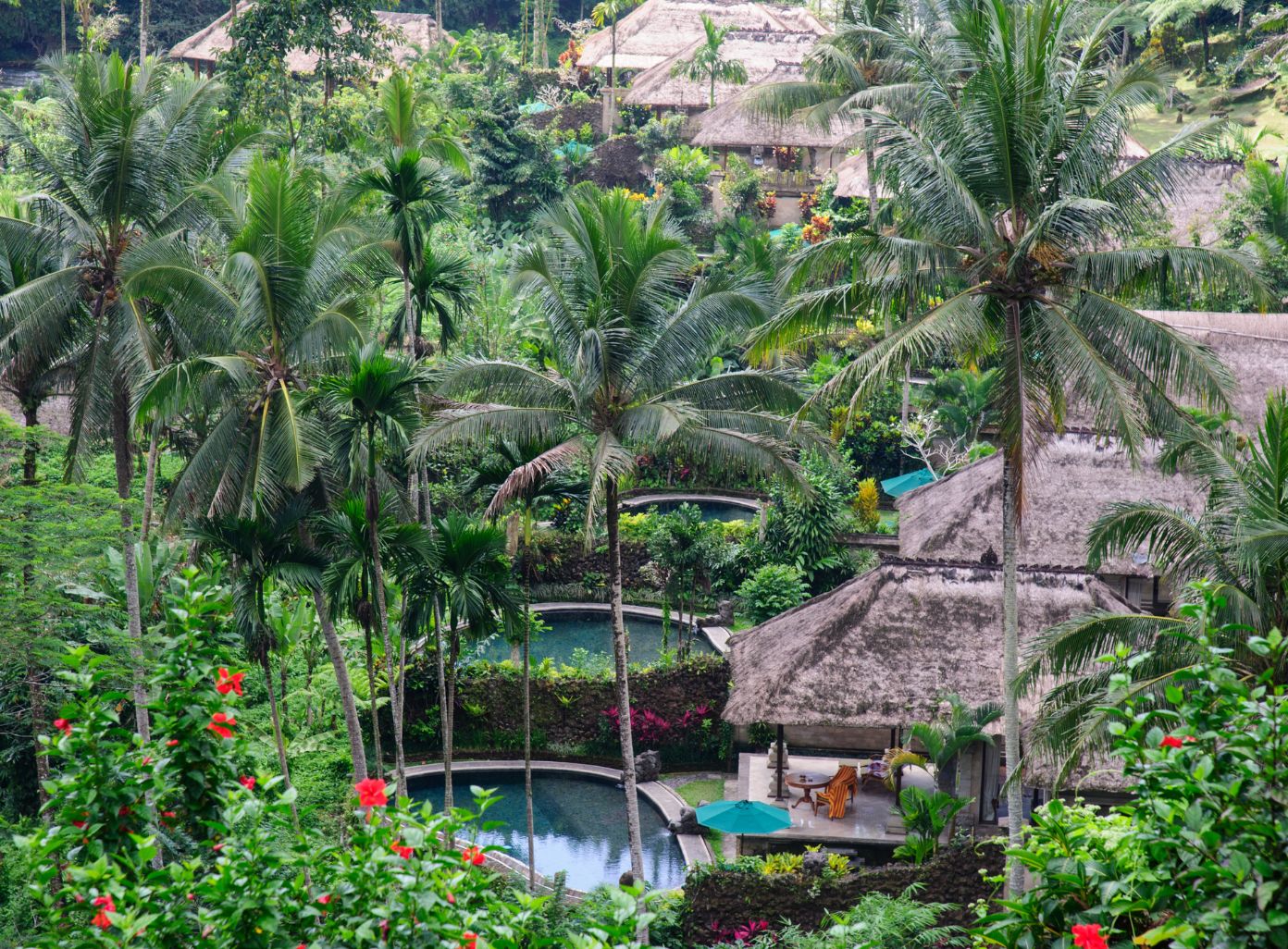 Jungle Hotels in Thailand